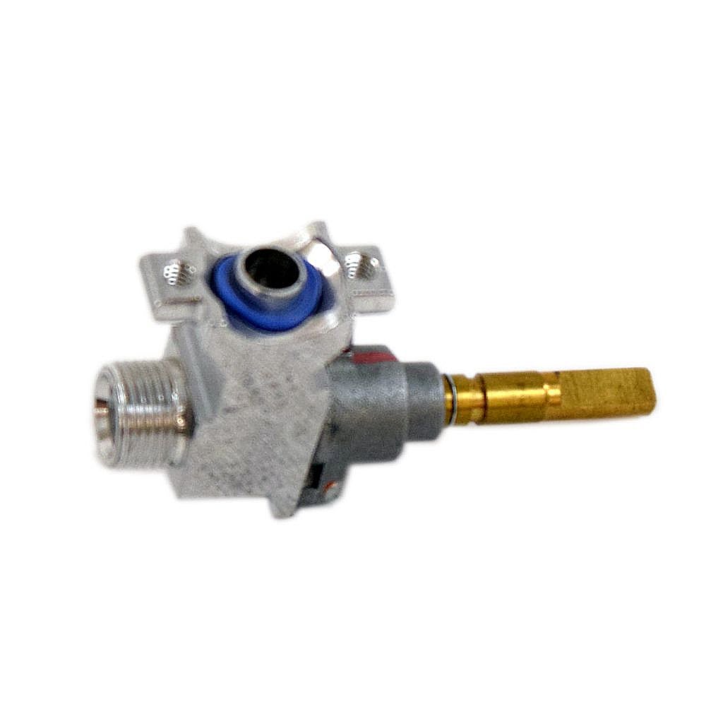 Photo of Gas Valve from Repair Parts Direct