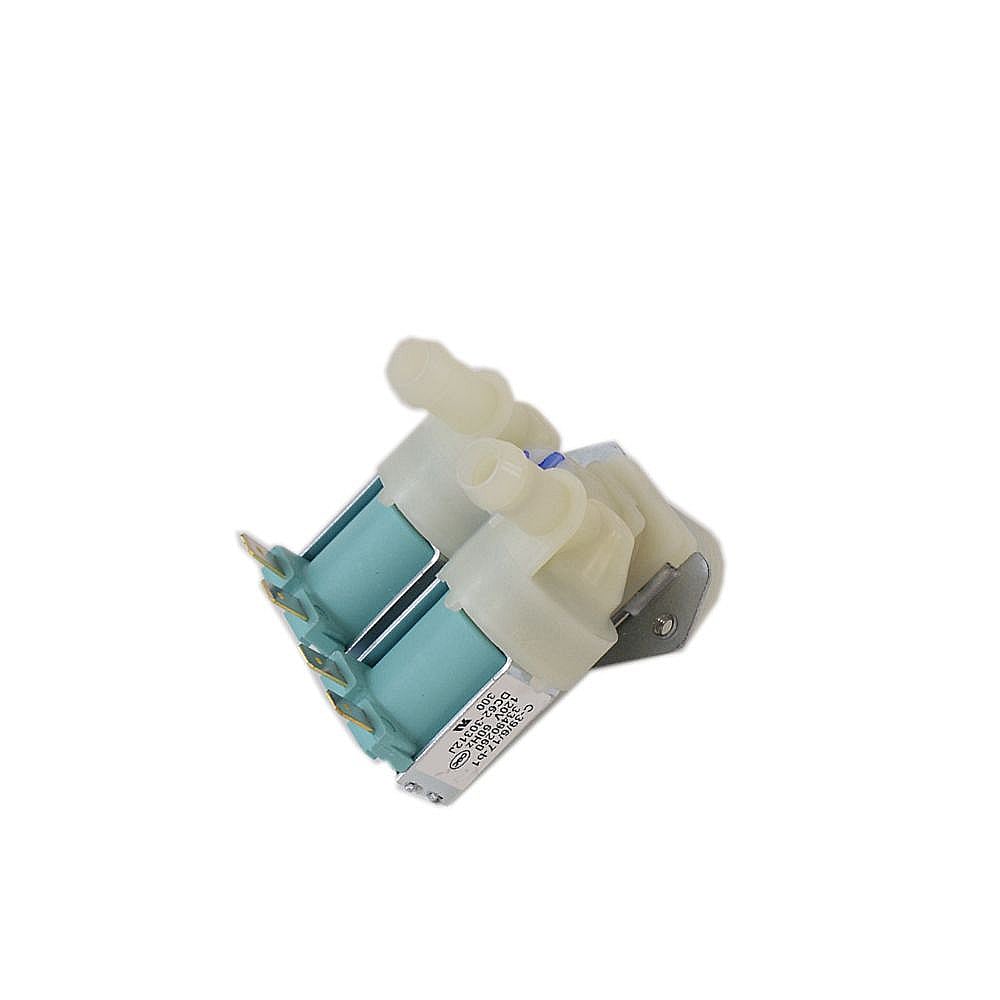 Photo of Washer Water Inlet Valve from Repair Parts Direct