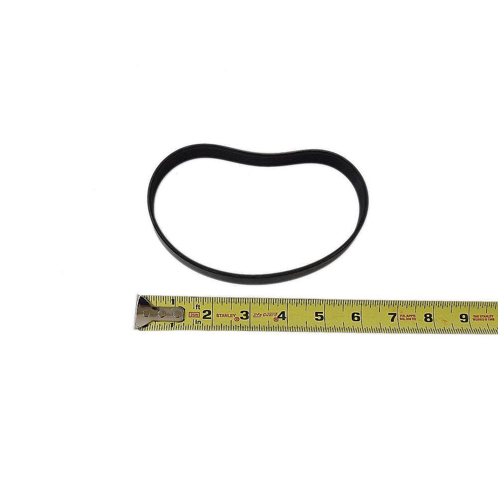 Drive Belt 1000227461