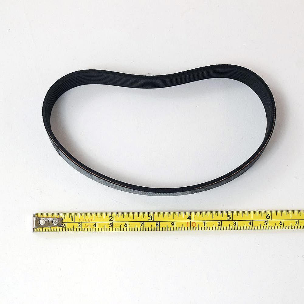 Motor Belt 319256