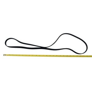 Exercise Cycle Drive Belt 334324