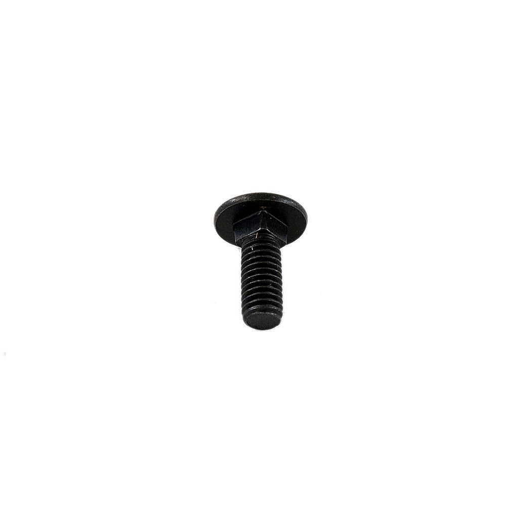 Screw 089140301125