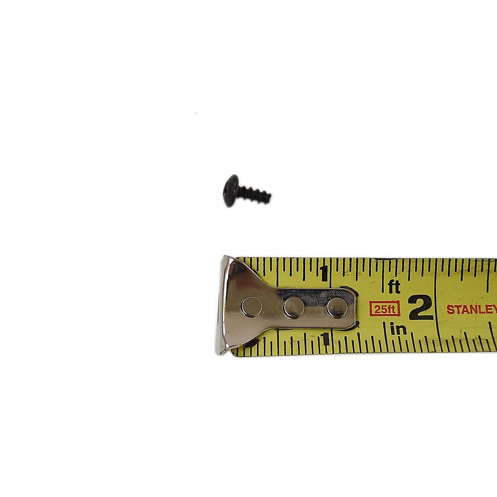 Screw 410601003