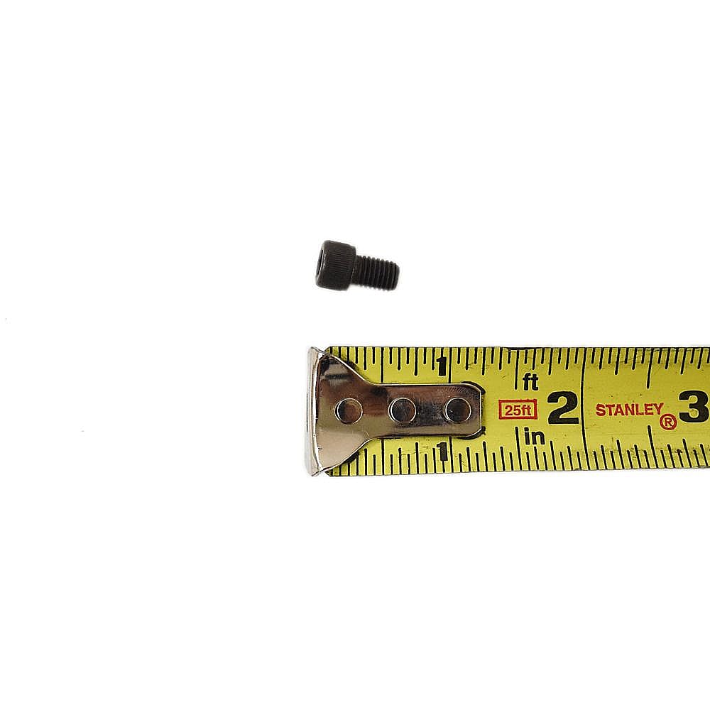 Reciprocating Saw Screw 099164-06