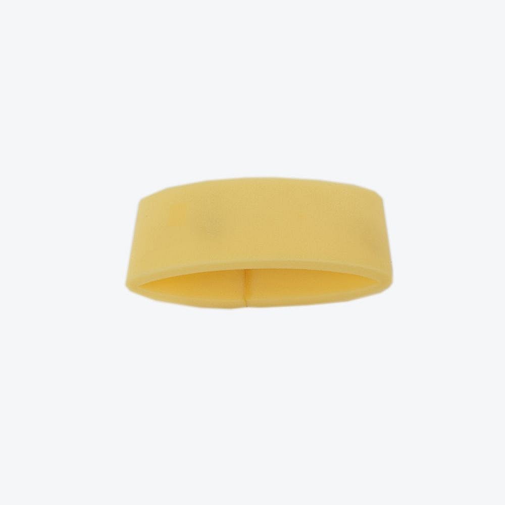 Foam Filter 79591
