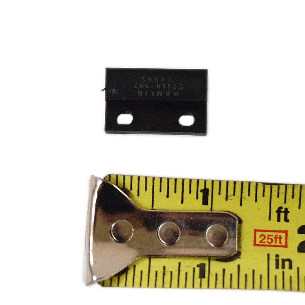 Reed Switch WB06X10916