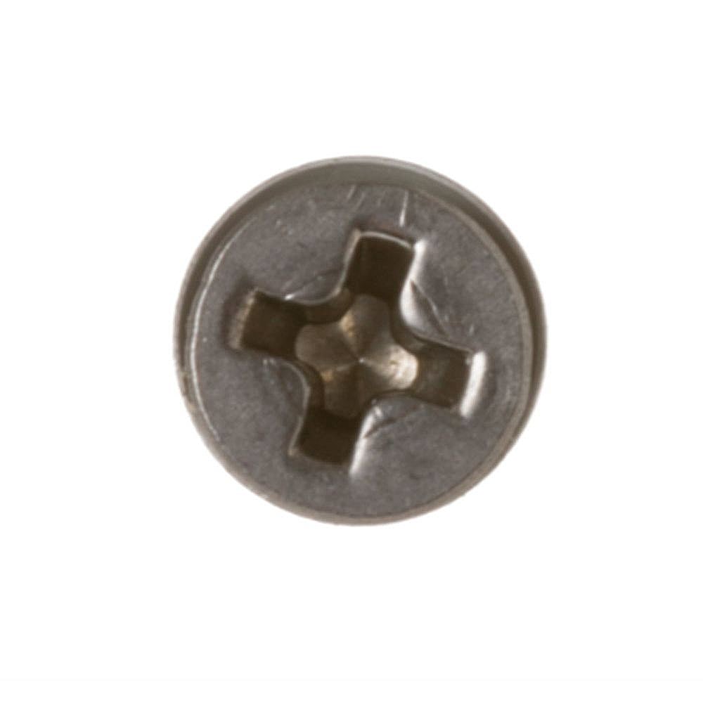 Washer Hinge Screw WH2X1211