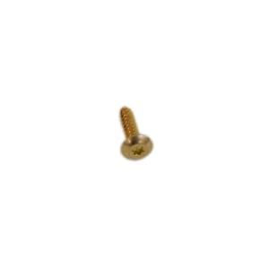 Washer Screw WH01X10610