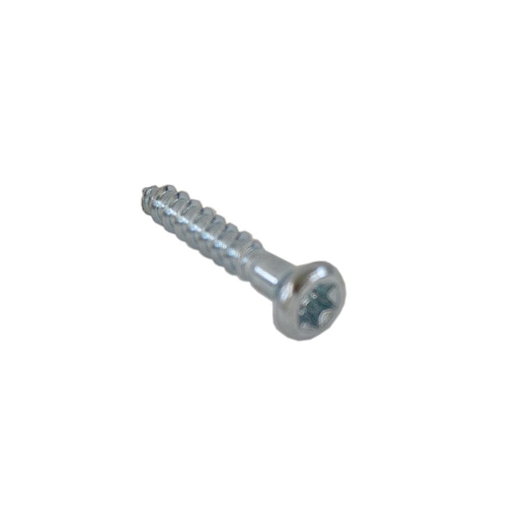 Screw 132658901