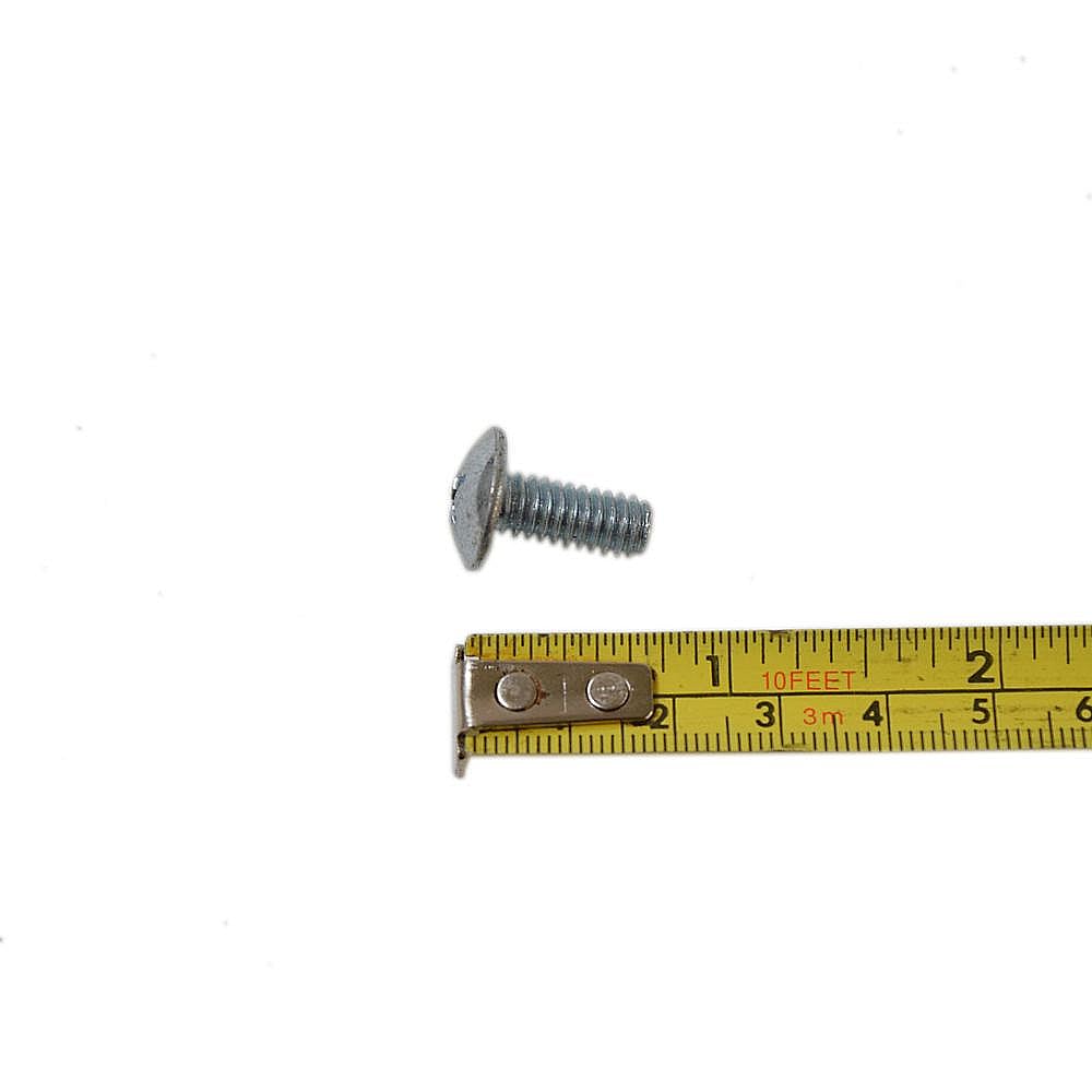 Screw 00413