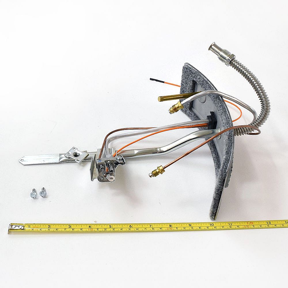 Water Heater Manifold Door Assembly 100093804