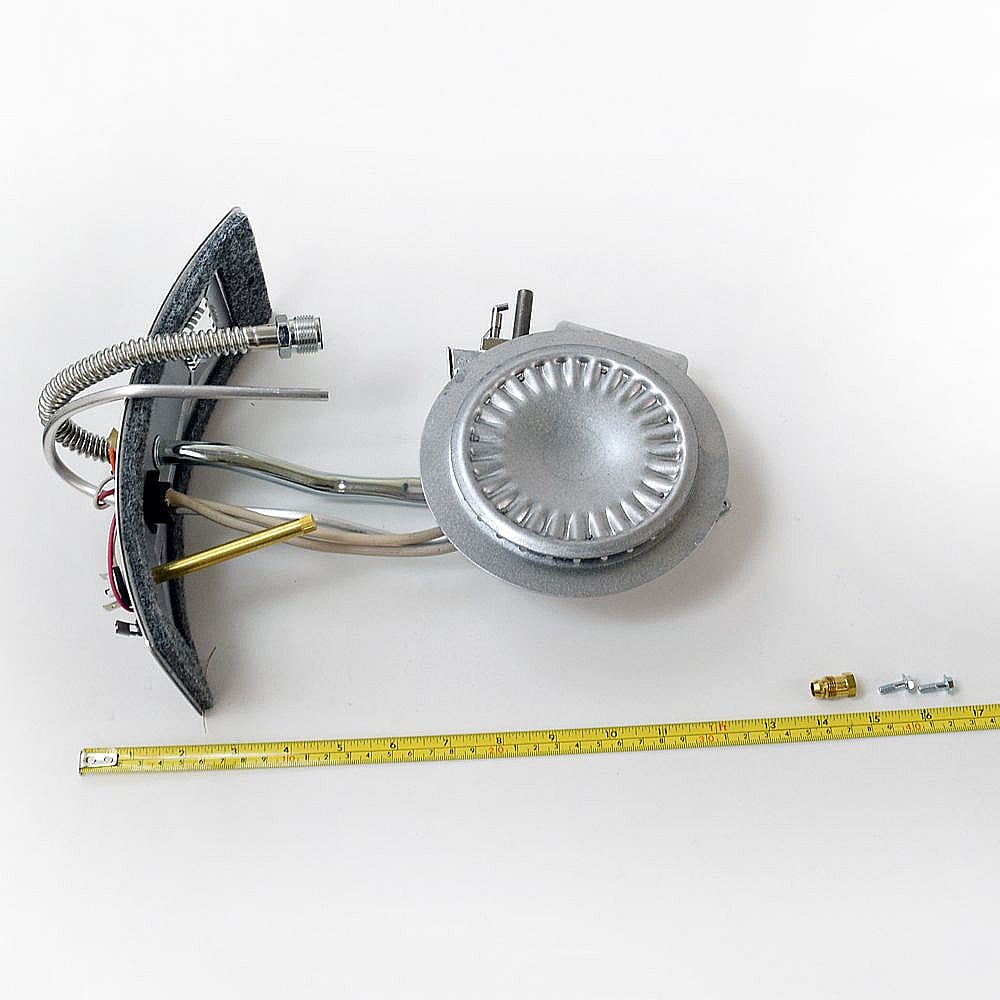 Water Heater Manifold Door And Burner Assembly 100093992
