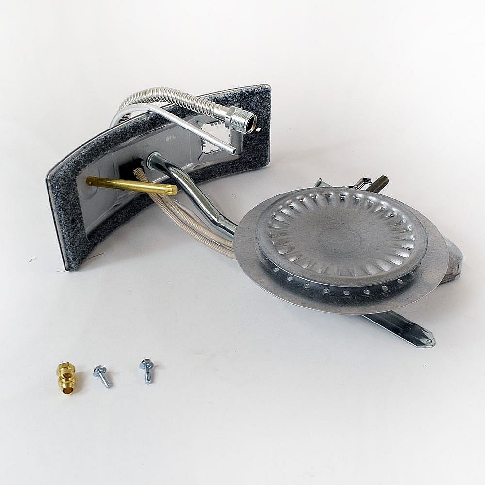 Water Heater Manifold Door And Burner Assembly 100093992
