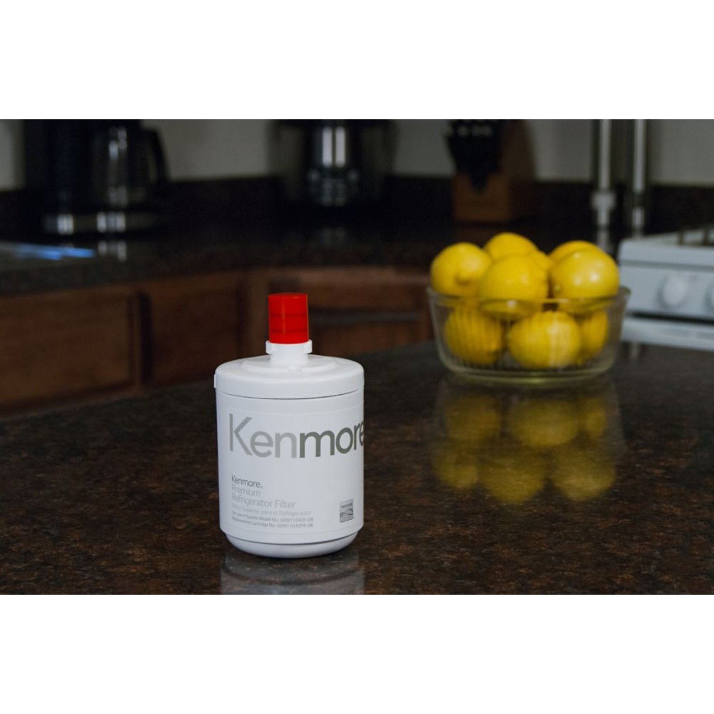 Genuine Kenmore Refrigerator Water Filter 9890 (replaces 5231JA2002B, 9890, ADQ72910907