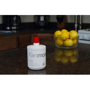 Genuine Kenmore Refrigerator Water Filter 9890 (replaces 5231ja2002b, 9890, Adq72910907) ADQ72910902