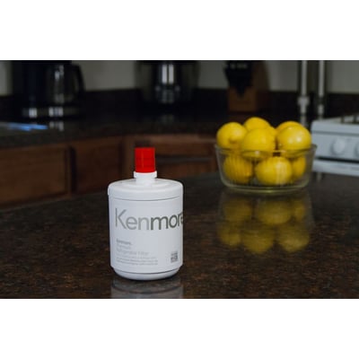 Kenmore 9890 2X Refrigerator Water Filter for Sears 