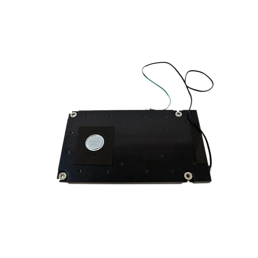 Television Speaker BN96-12965C