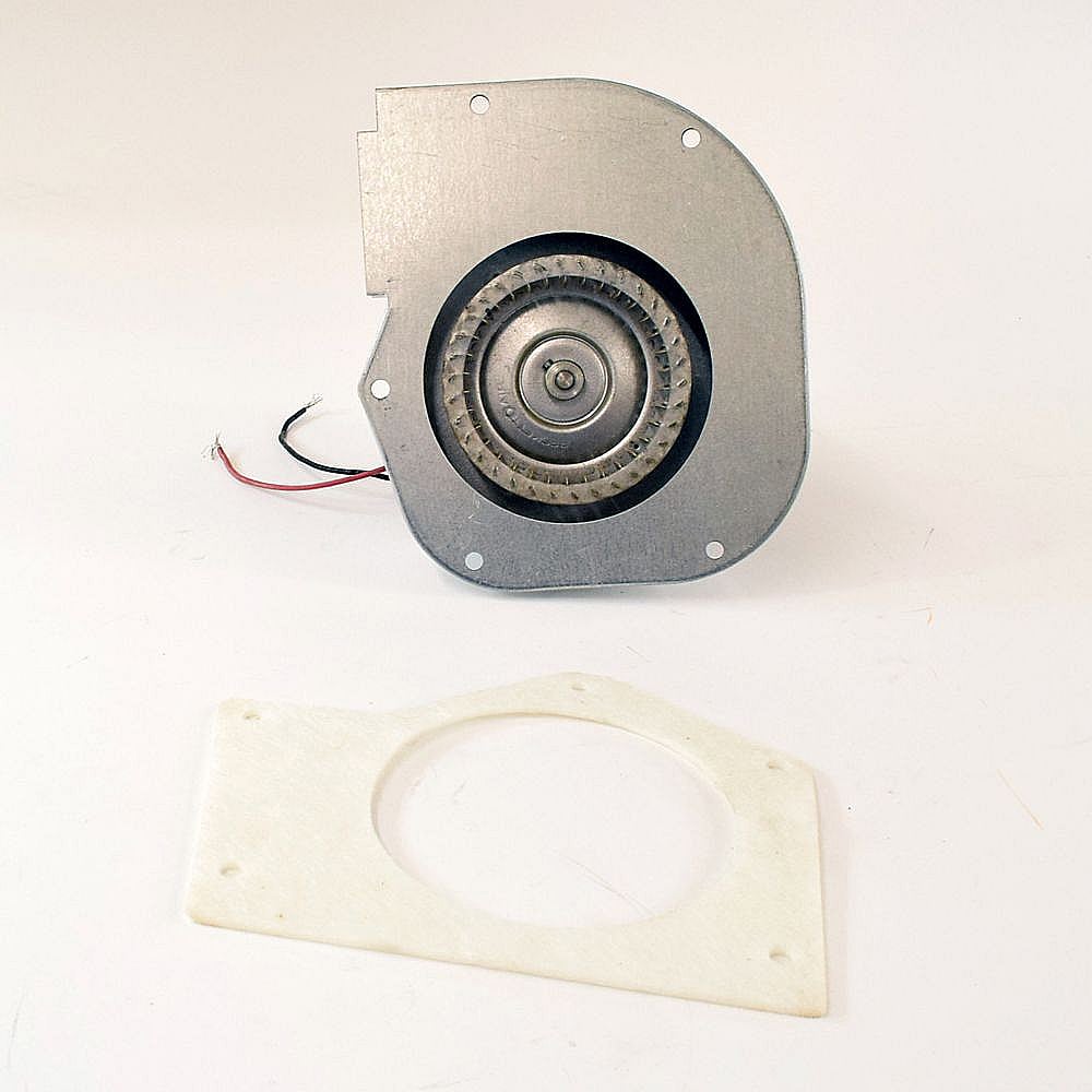 Blower Motor BLW00451