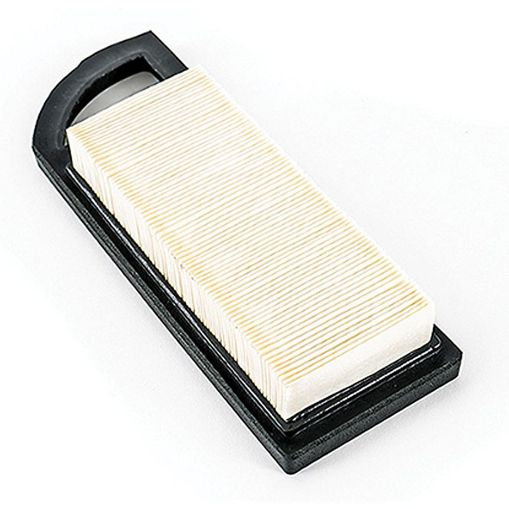 Air Cleaner 490-200-0001