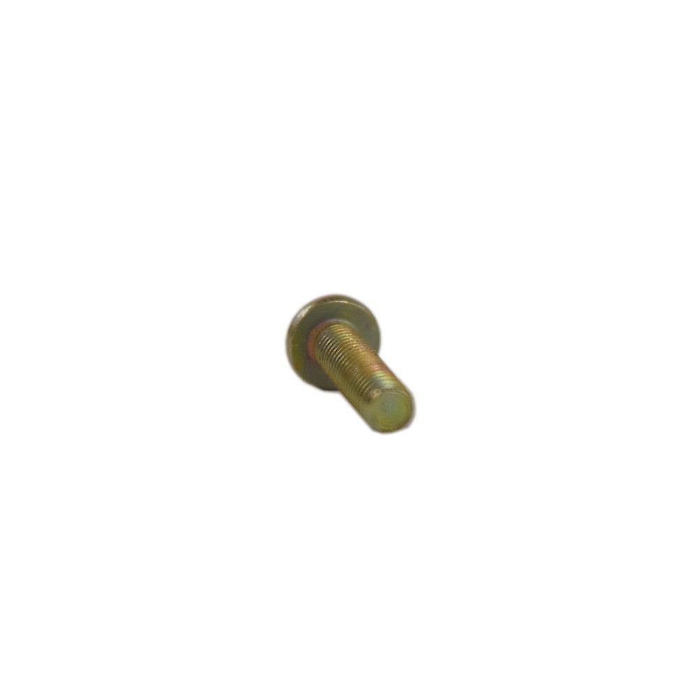 Snowblower Machine Screw 710-04879