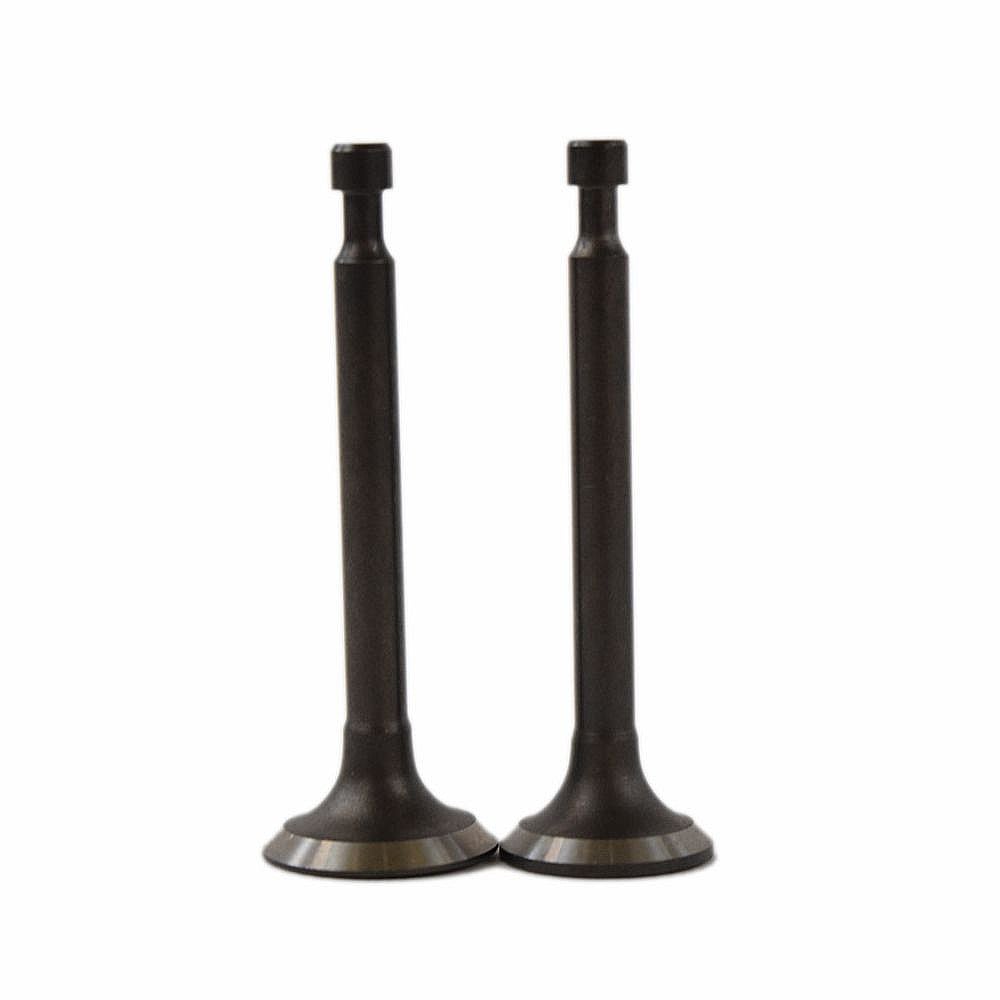 Lawn & Garden Equipment Engine Valve Set 951-10313