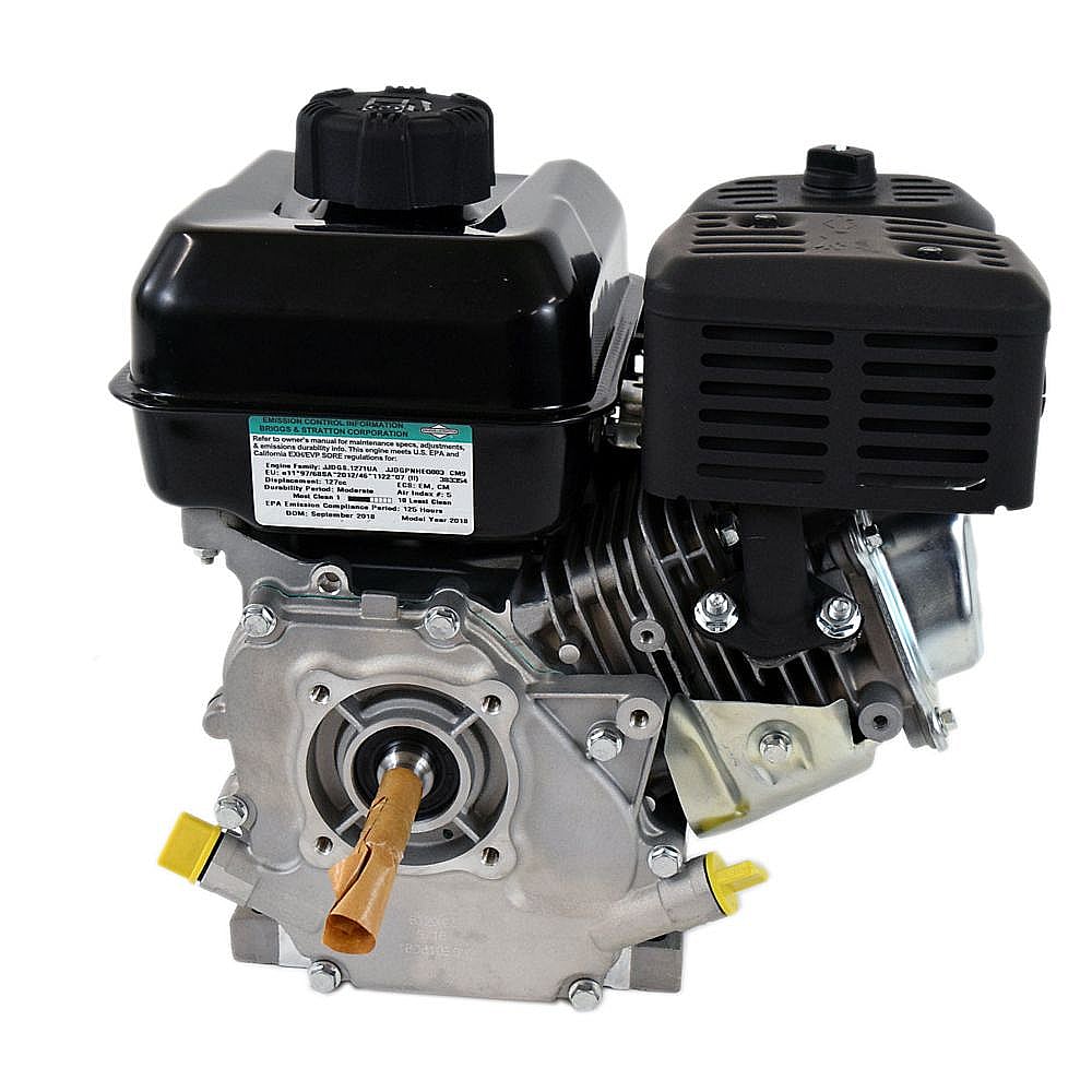 Briggs & Statton Engine 083132-1040-F1