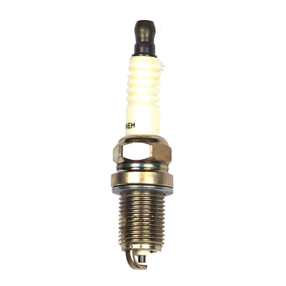 Briggs & Statton Lawn & Garden Equipment Engine Spark Plug 491055T