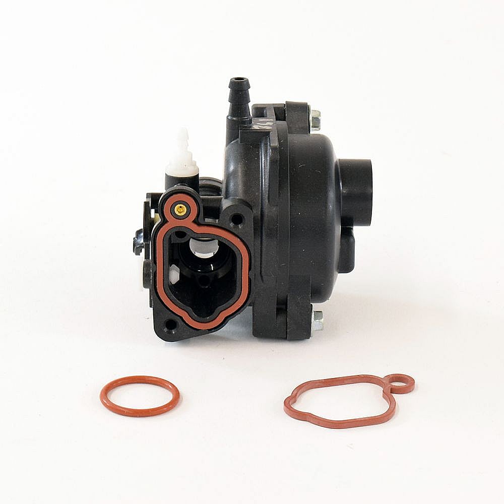 Briggs & Statton Lawn & Garden Equipment Engine Carburetor 590555