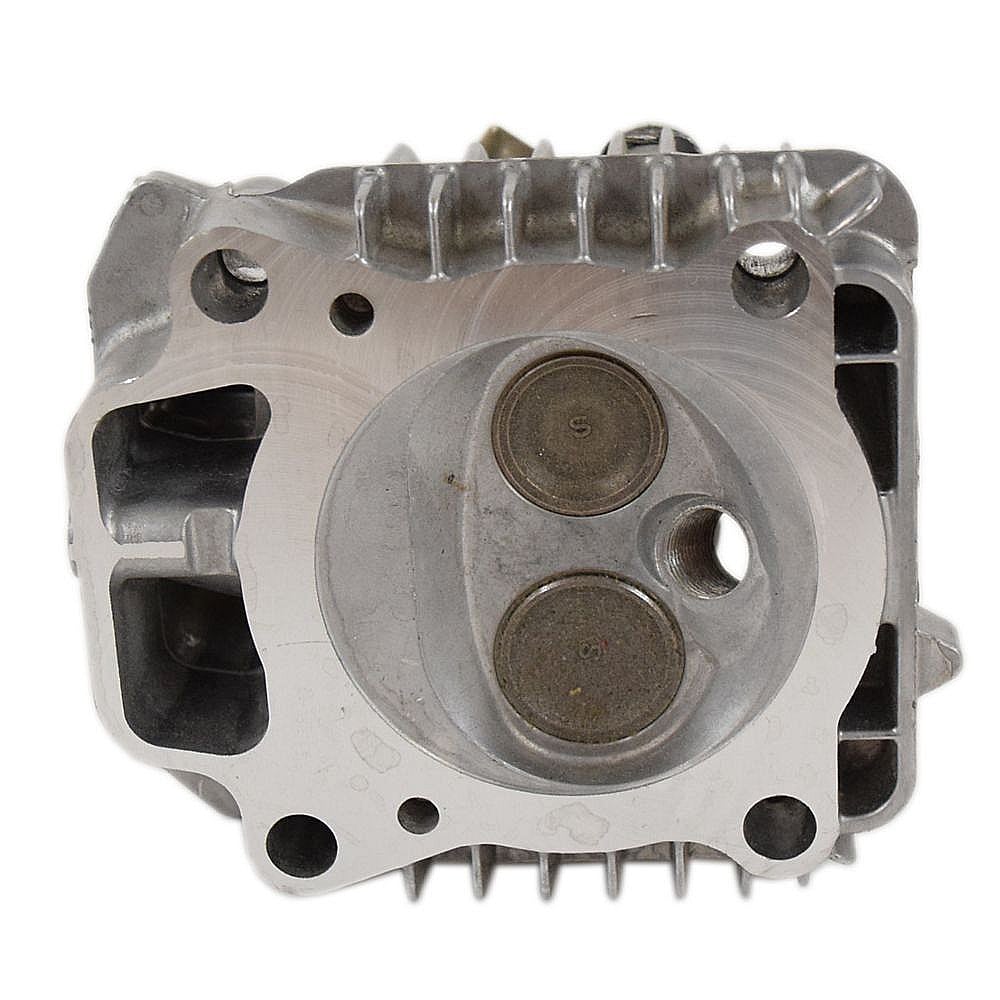 Briggs & Statton Lawn & Garden Equipment Engine Cylinder Head Assembly 592175
