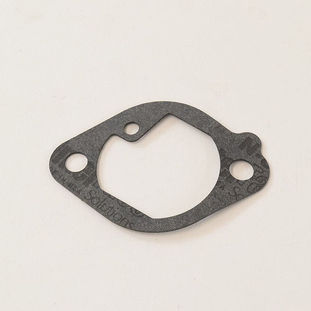 Briggs & Statton Gasket 699800