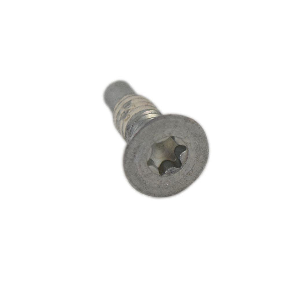 Briggs & Statton Screw 796208