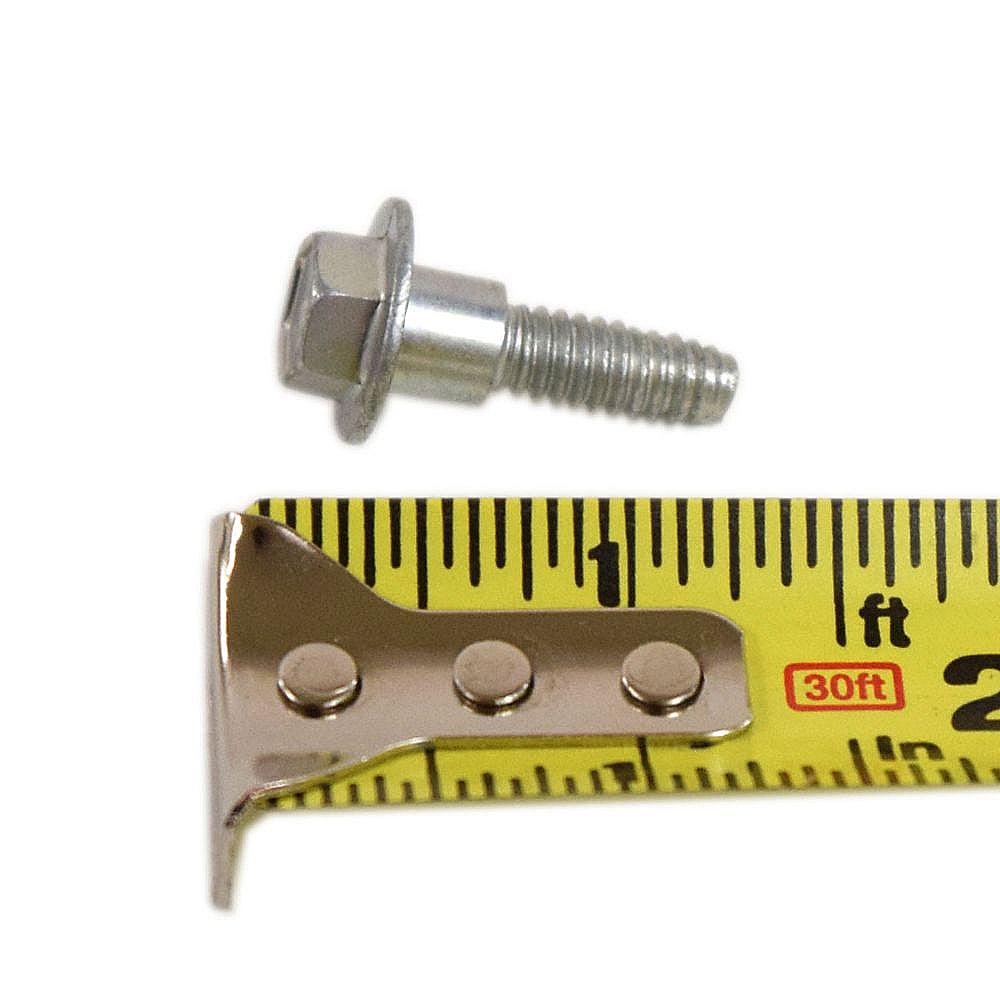 Briggs & Statton Lawn & Garden Equipment Engine Screw 799370