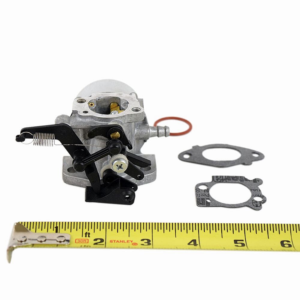 Briggs & Stratton Lawn & Garden Equipment Engine Carburetor 799479