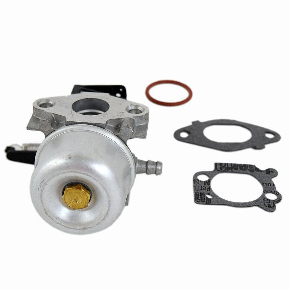 Briggs & Stratton Lawn & Garden Equipment Engine Carburetor 799479
