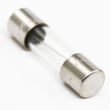 Kenmore Fuse 2.5a 000144605