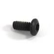 Vacuum Screw 21751010