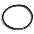 Vacuum Beater Bar Belt for Hoover C1815 - Part 38528013