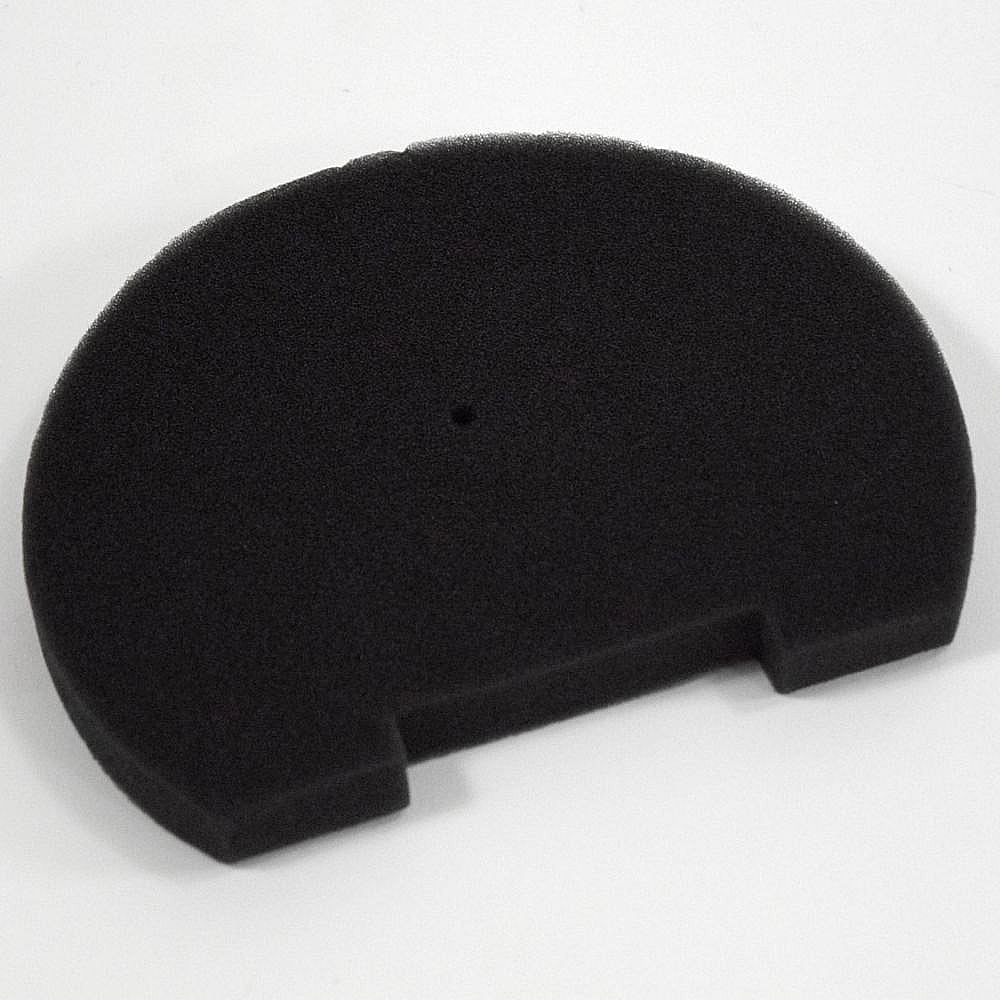 Vacuum Motor Safety Filter