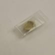 Socket Battery 1-251-928-21