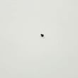 Screw B1.2 3-086-156-51