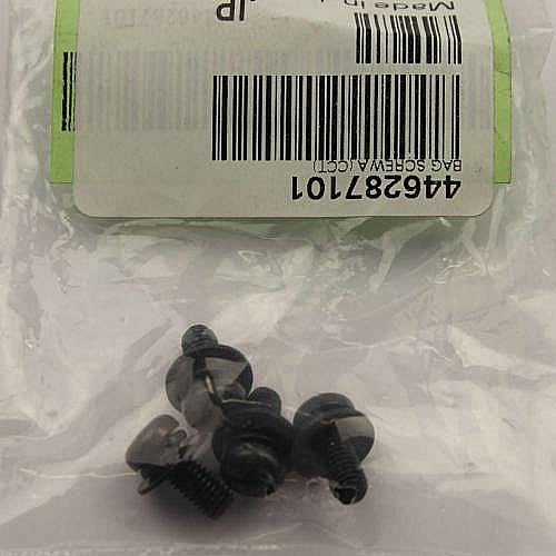 Part #4-462-871-01, Bag Screw A (Cct)
