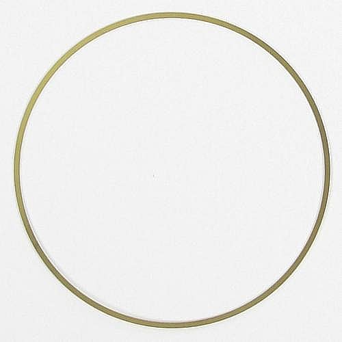 Part #5-006-201-41, Washer, Z Ring