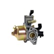 Carburetor Assembly 993046001