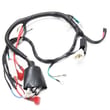 Main Wire Ha WD90-272