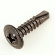 Phil Screw for Sole R92-2013 - Part J092002-Z1