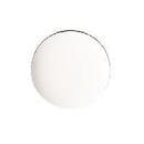 Appliance Touch-Up Paint, 0.6-oz (White)