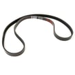 Exercise Cycle Drive Belt for Bladez IC5026 - Part SXPRO37