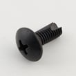 Horizon Exercise Equipment Screw for AFG 4.0AE - Part 004372-00