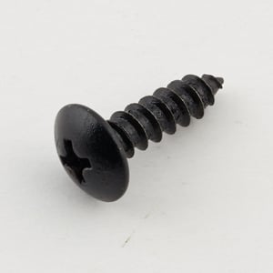 Horizon Exercise Equipment Screw 004621-00