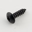 Horizon Exercise Equipment Screw for Horizon SXE7.7 - Part 004621-00